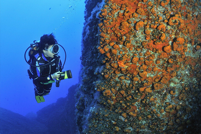 Villette Pozzo Monaco Lampedusa